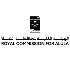 شركاء النجاح