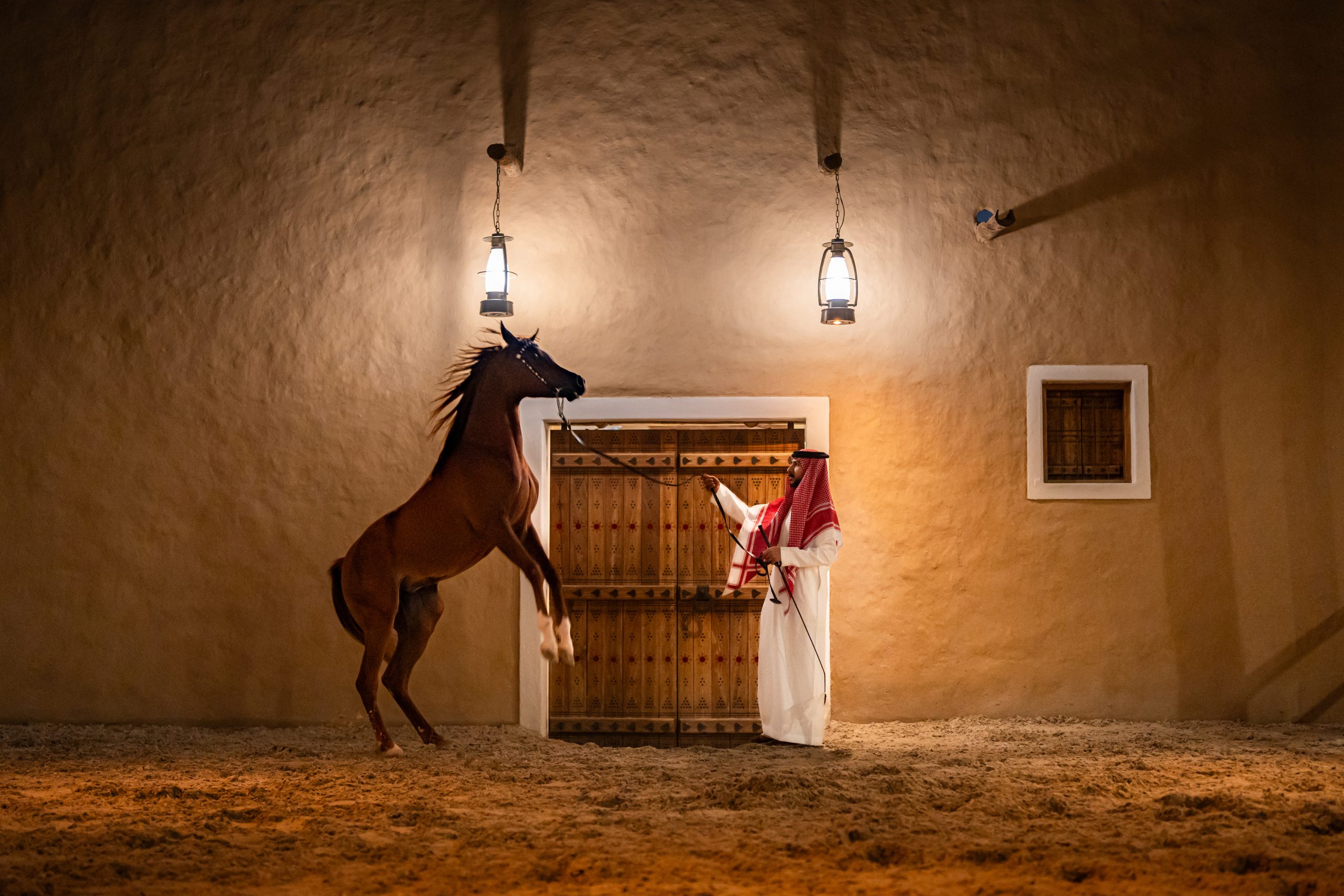 البرامج الثقافية في الطريف